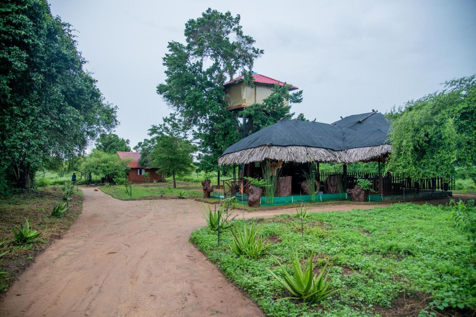 Hotel Animal View Point Yala Tissamaharama Exterior foto
